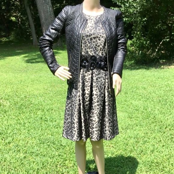 NWT $178 Muse | Lord & Taylor | Leopard Print Dress w Adornment At Waist - Picture 2 of 7